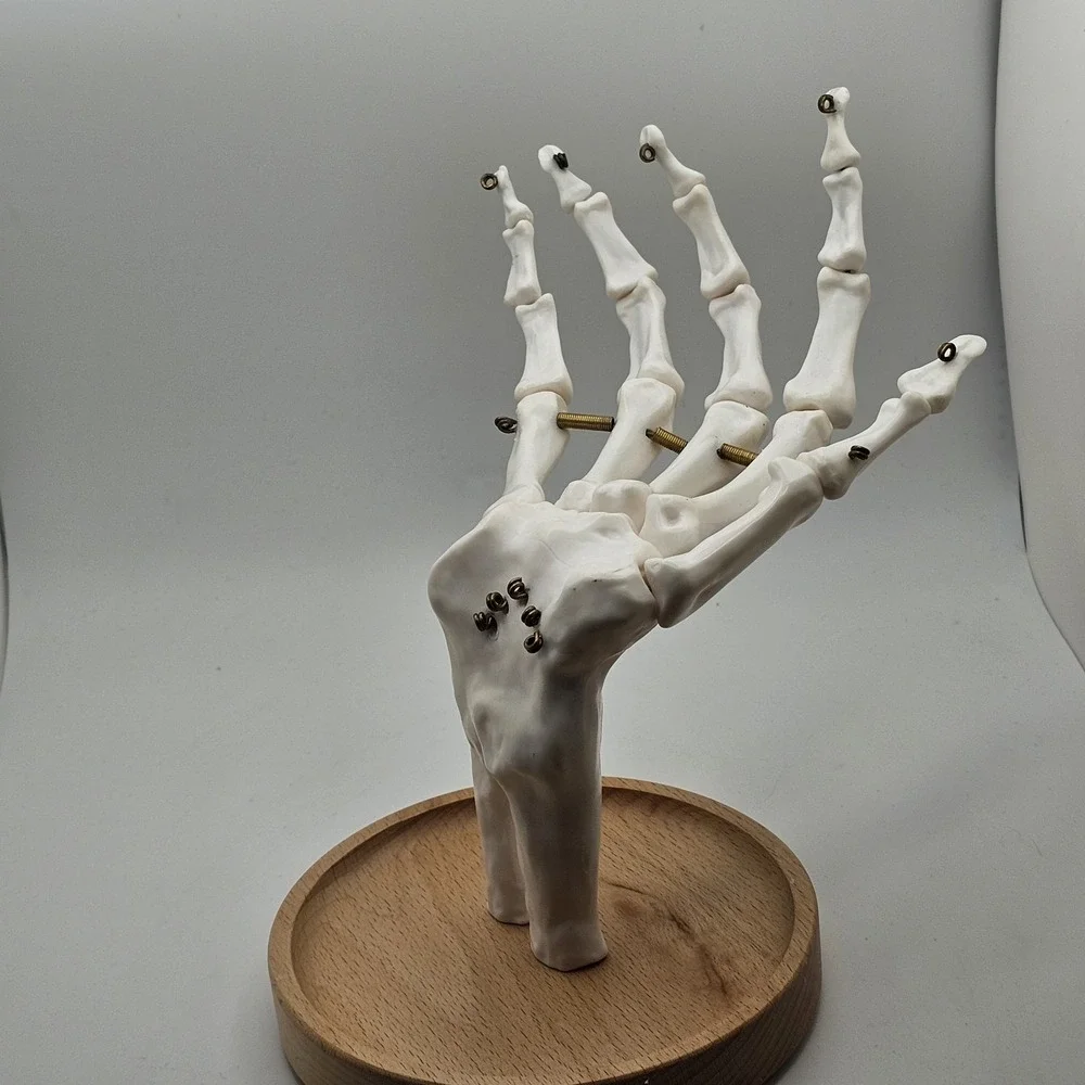 Suck UK Skeleton Hand Jewelry Tidy Holder Organizer Halloween
